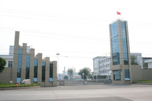 廣東西南建設工程集團 引領區(qū)域發(fā)展的建筑先鋒